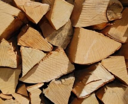 Kaminholz Buche trocken